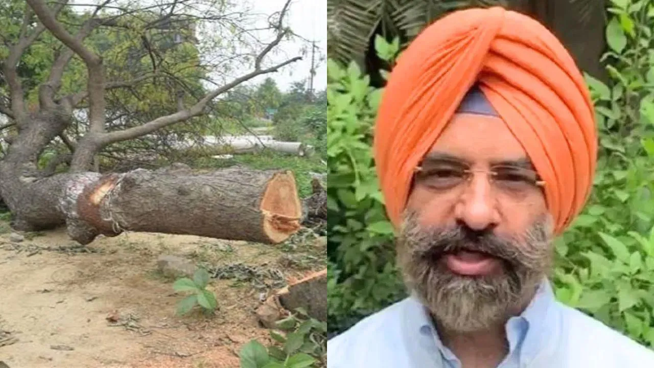 Delhi DPTA