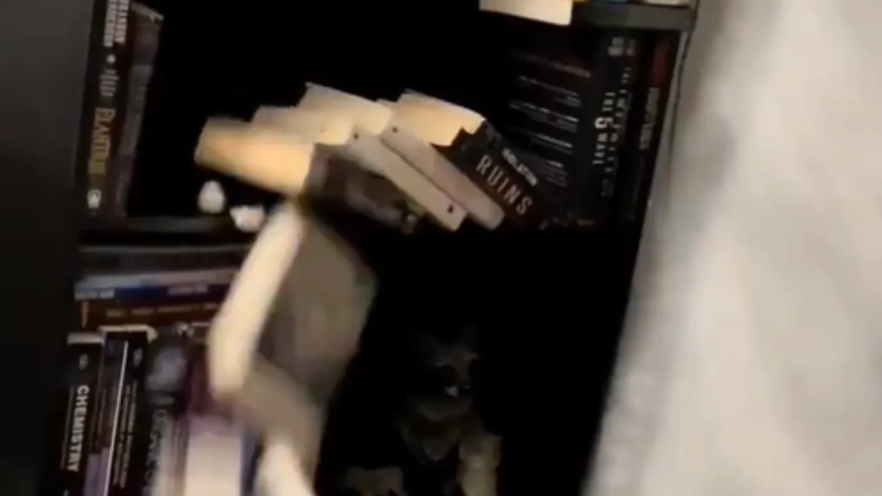 Social Media viral video of Paranormal Activity looks like Bhoot and devil