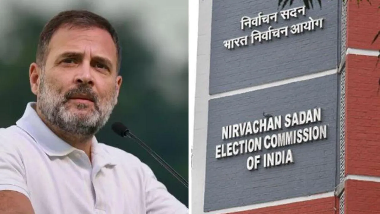 eci and rahul gandhi