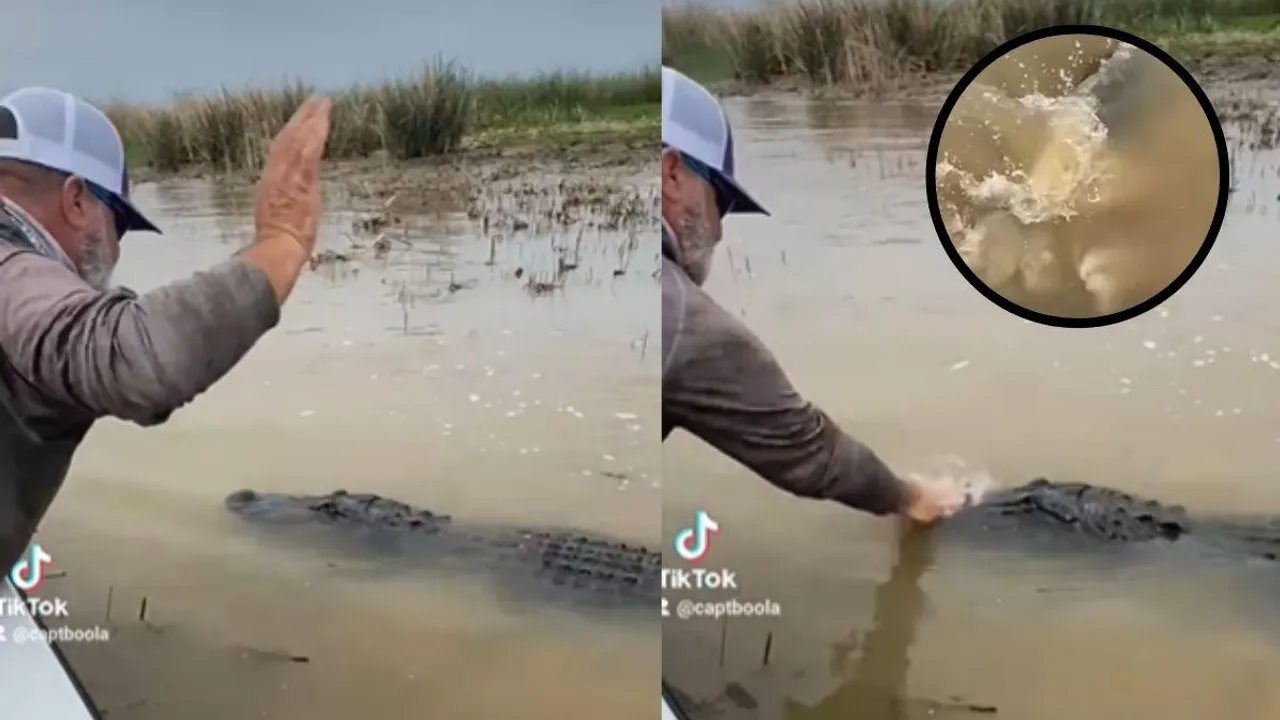 viral man slap crocodile viral video