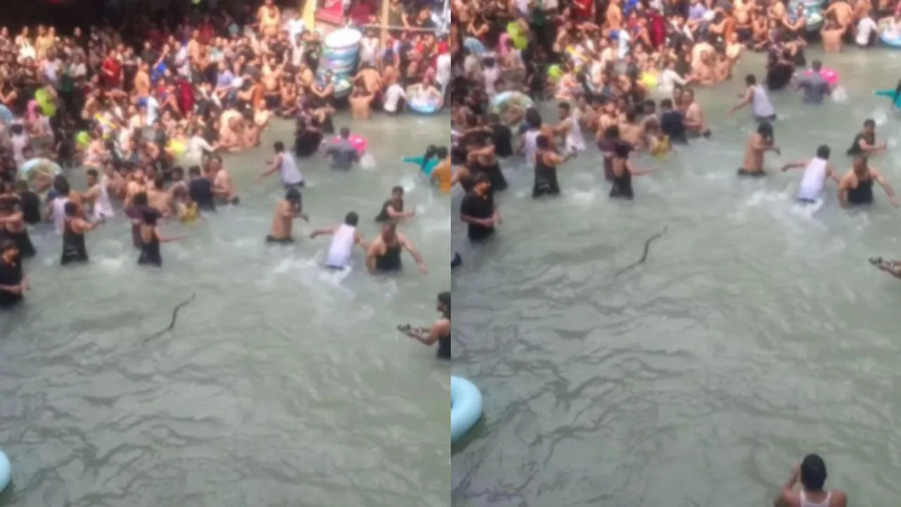 viral video snake Mussoorie