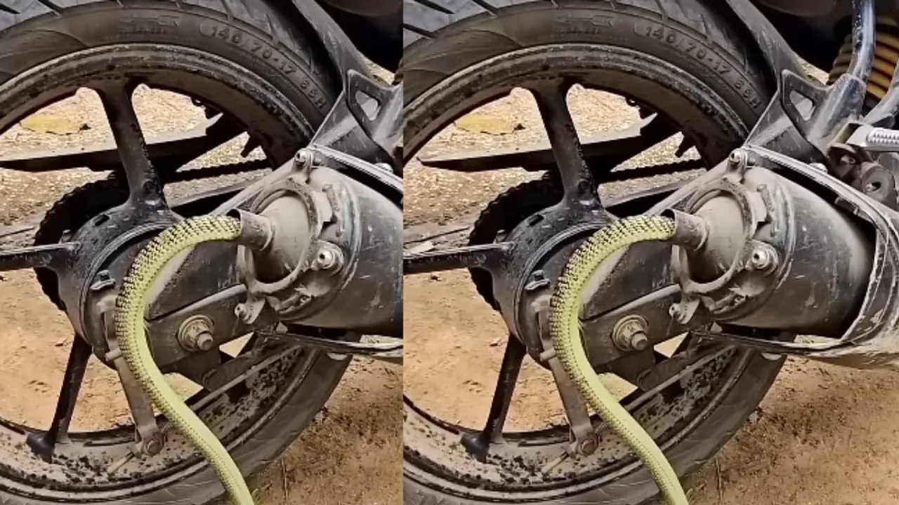 Viral snake enters bike slincer
