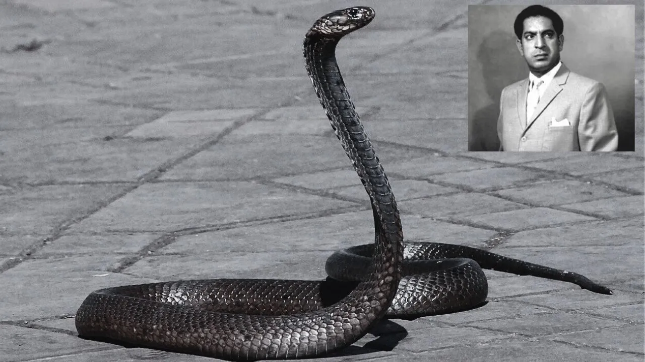 snake