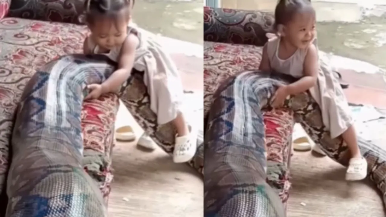viral python with baby girl