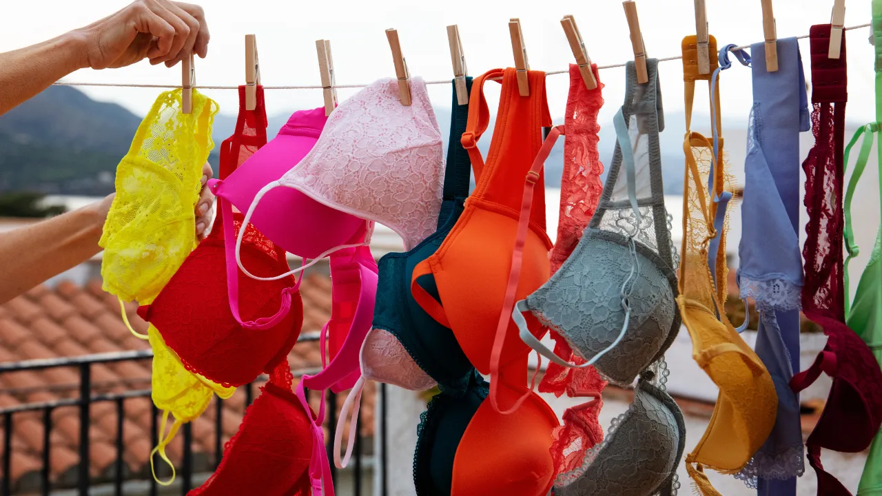 What is full form of Bra who invented Bra know Five Interesting facts of bra