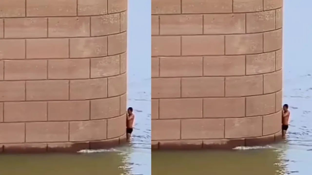 VIRAL VIDEO STUNT BRIDGE