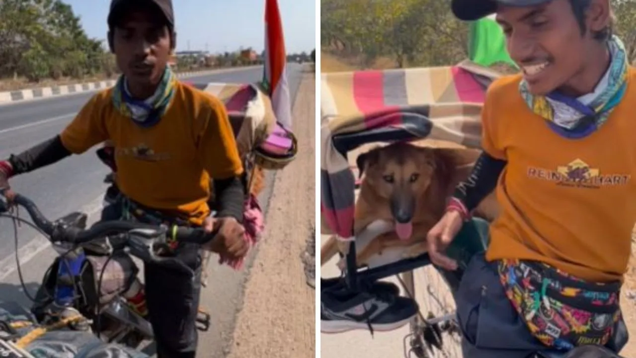 travel from cycle
