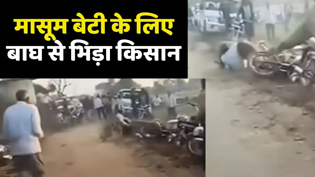 Farmer Fight with Lion to save his daughter video viral