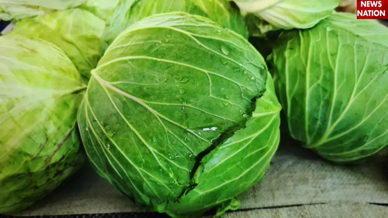 vegetables (4)