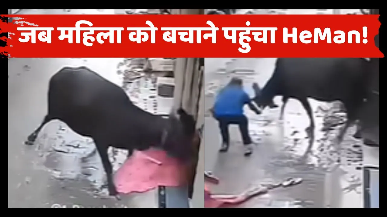 Bull Attack on Women Video Viral