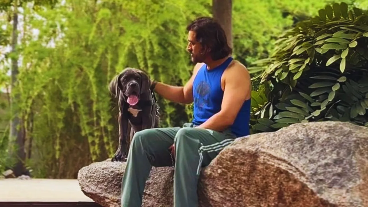 MS Dhoni is a big animal lover as Mahi has many pets including dogs and chickens