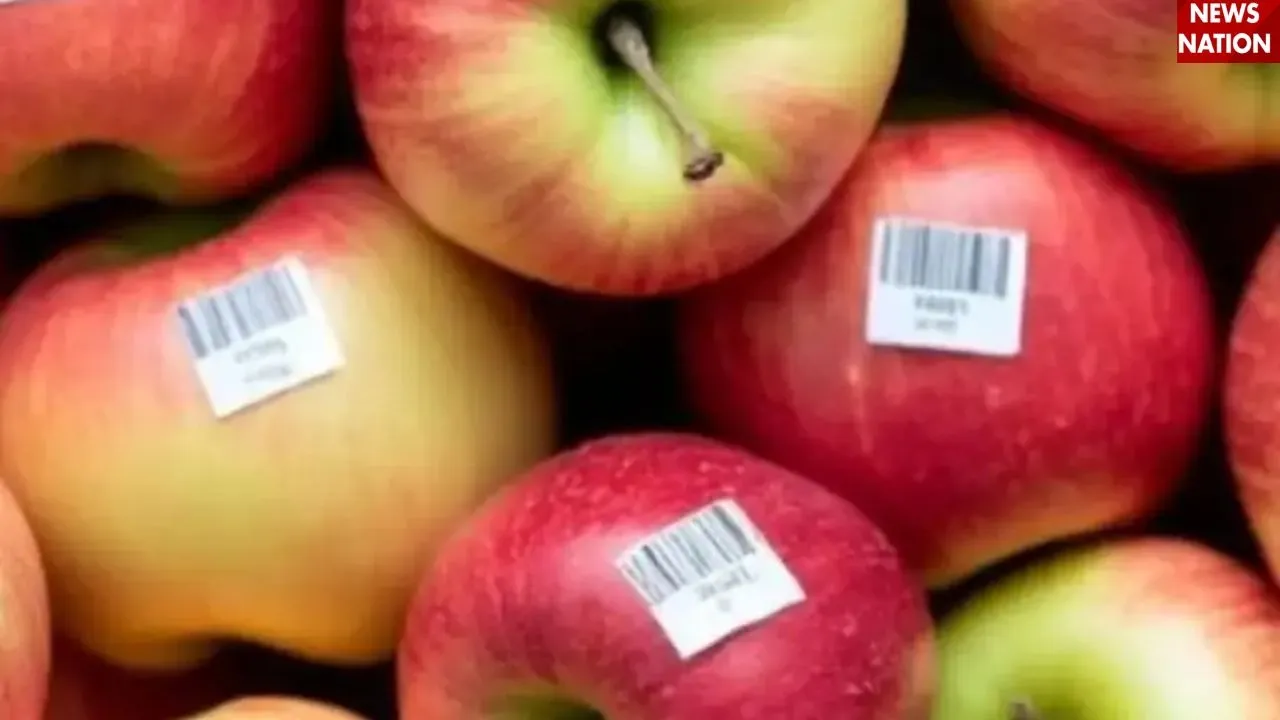Fruit codeword (1)