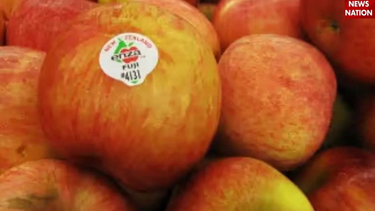 Fruit codeword