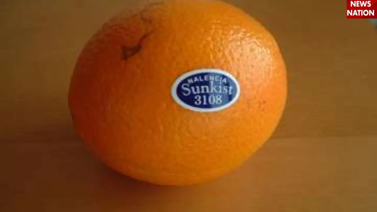 Fruit codeword (5)