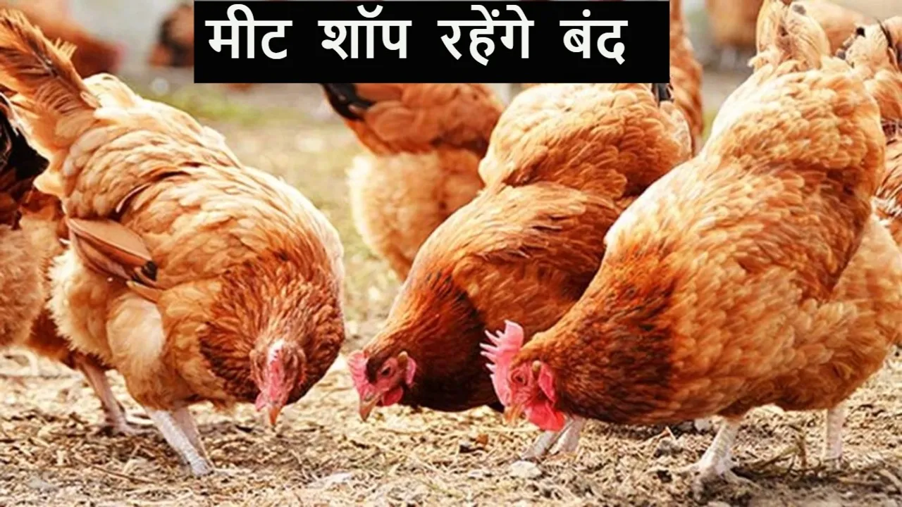 Shamli meet shop closed (1)