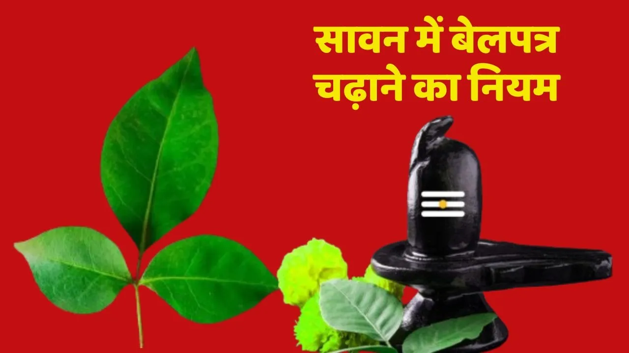 Rule of Belpatra on shivling in sawan month