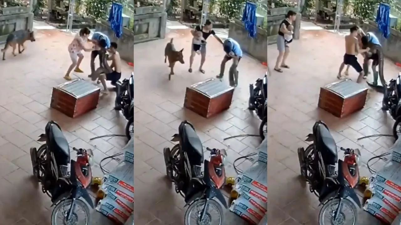 Python Attack