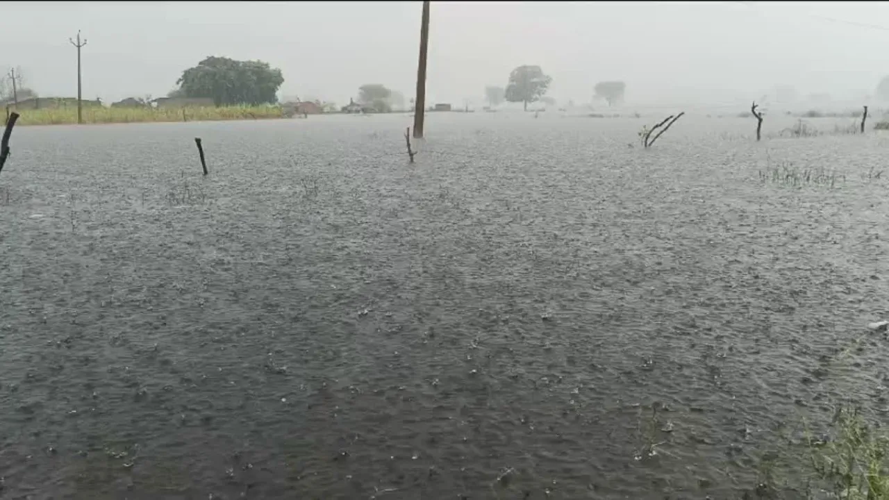 Dholpur heavy rain