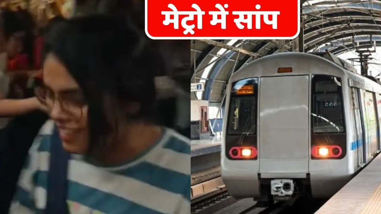 metro mein sanp
