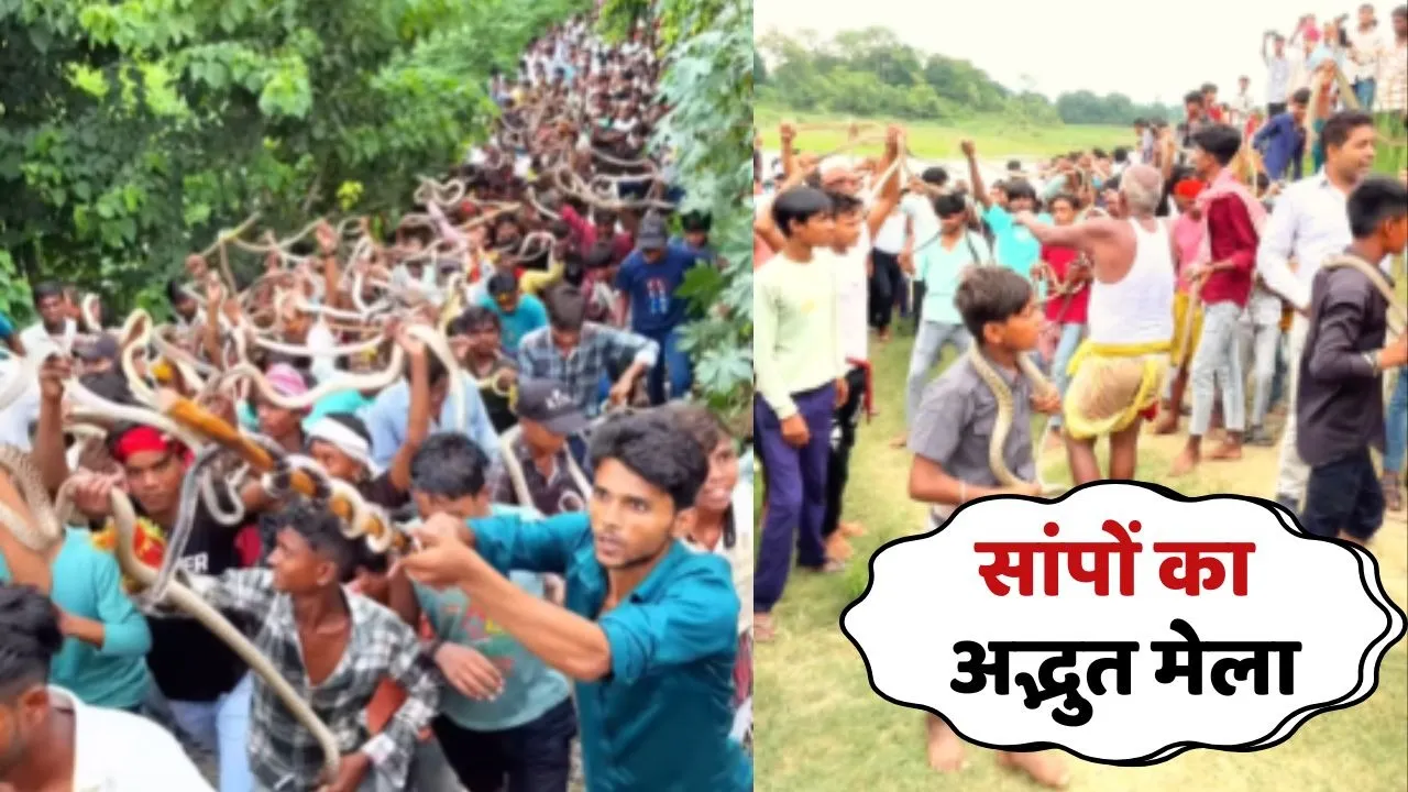 Snake Fair in Bihar Samastipur Video Viral
