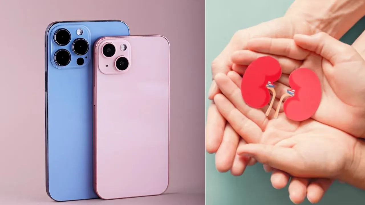 I Phone-Kidney