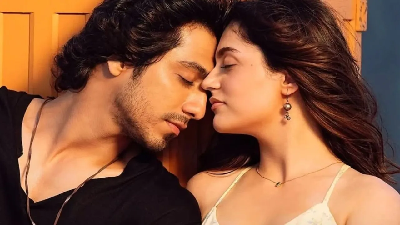 Saiyaara (6)