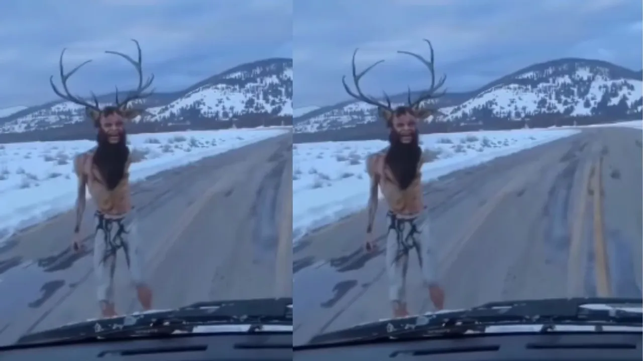 viral mysterious creature