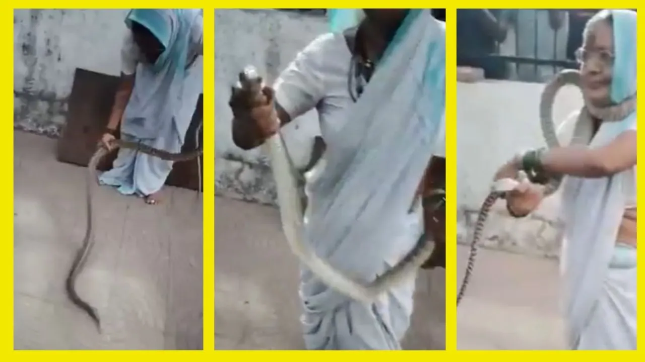 Grand Mother Video Viral with Snake
