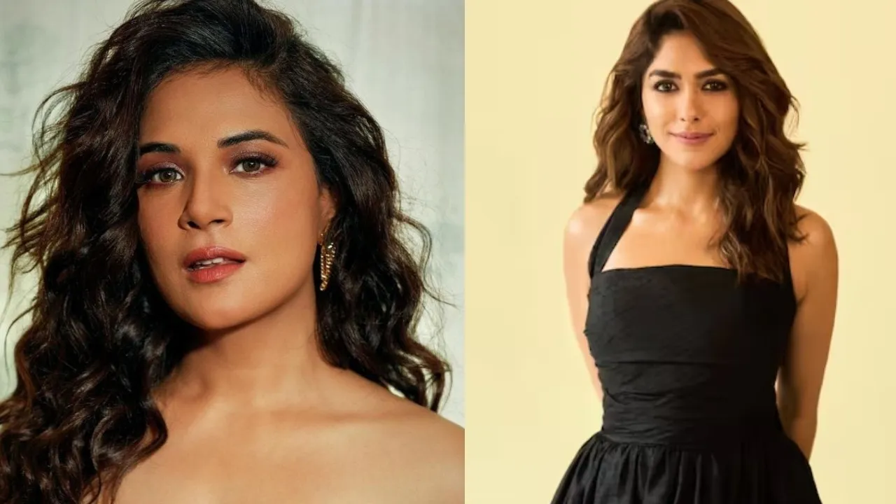Richa Chadda took dig at Mrunal Thakur she share cryptic post on her