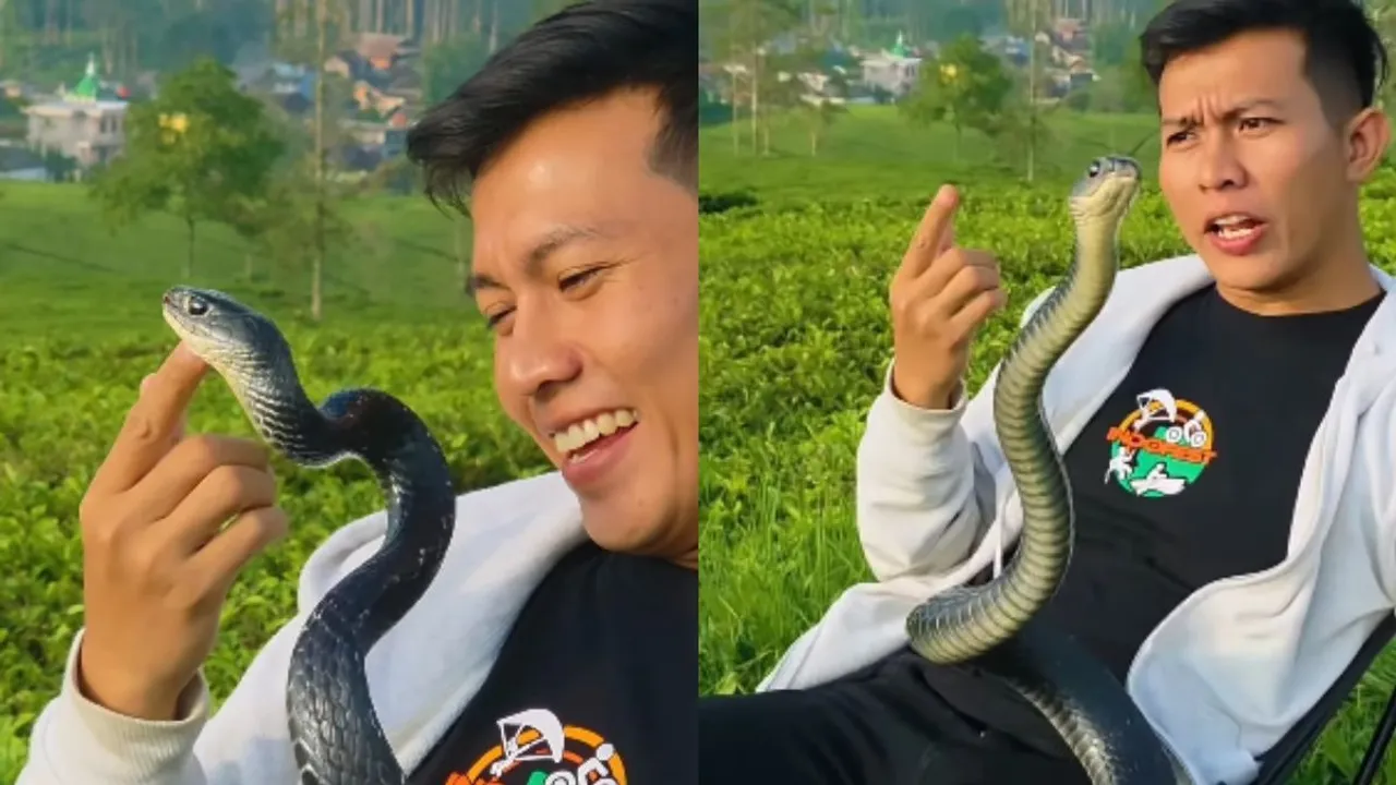 snake dance video