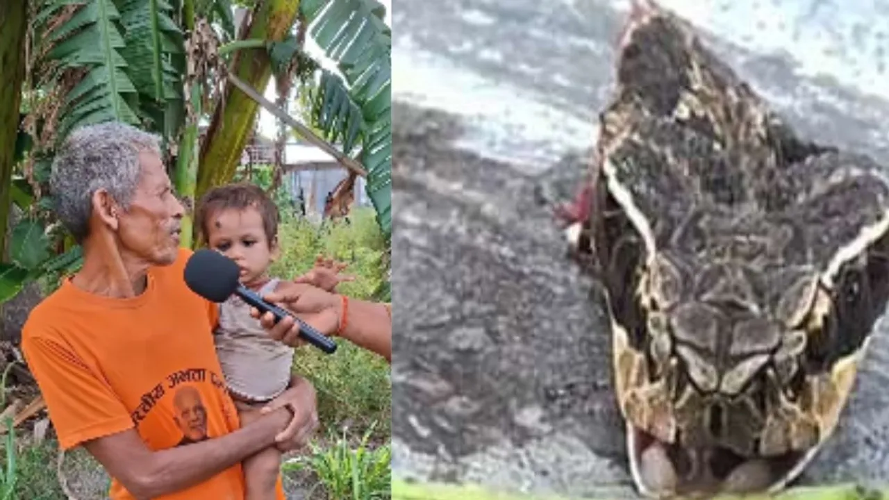 viral cobra video (1)