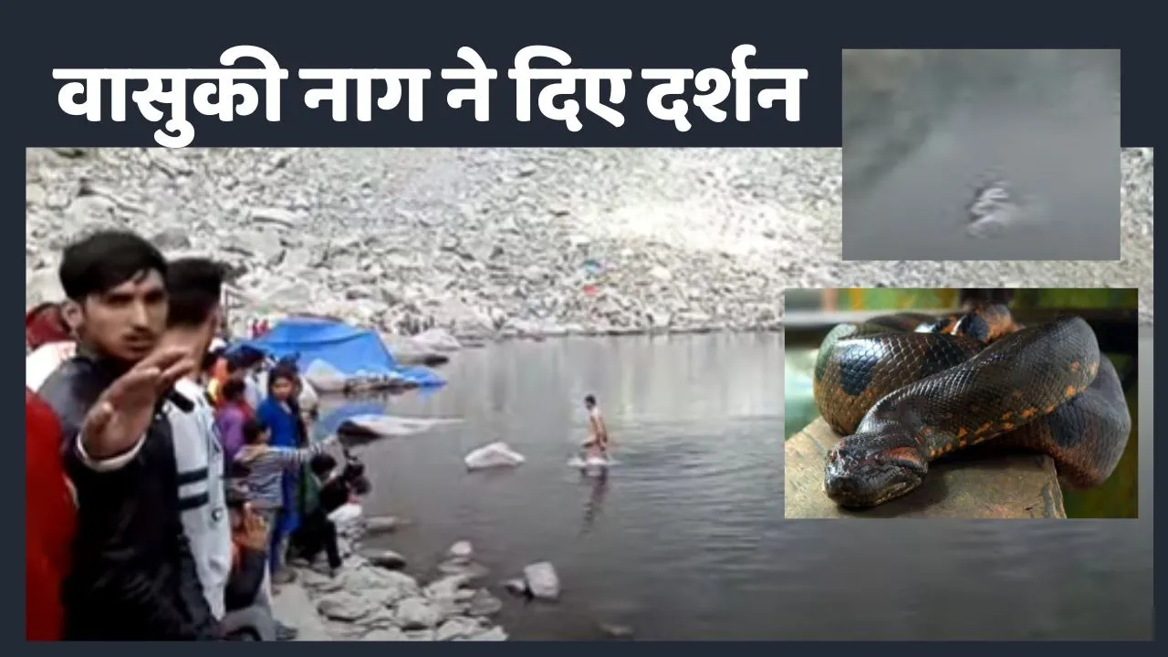 Vasuki Nag Video Viral