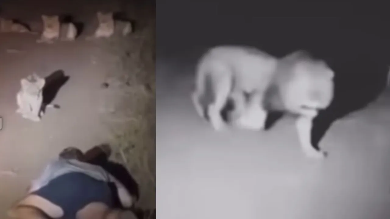 viral video on social media (12)