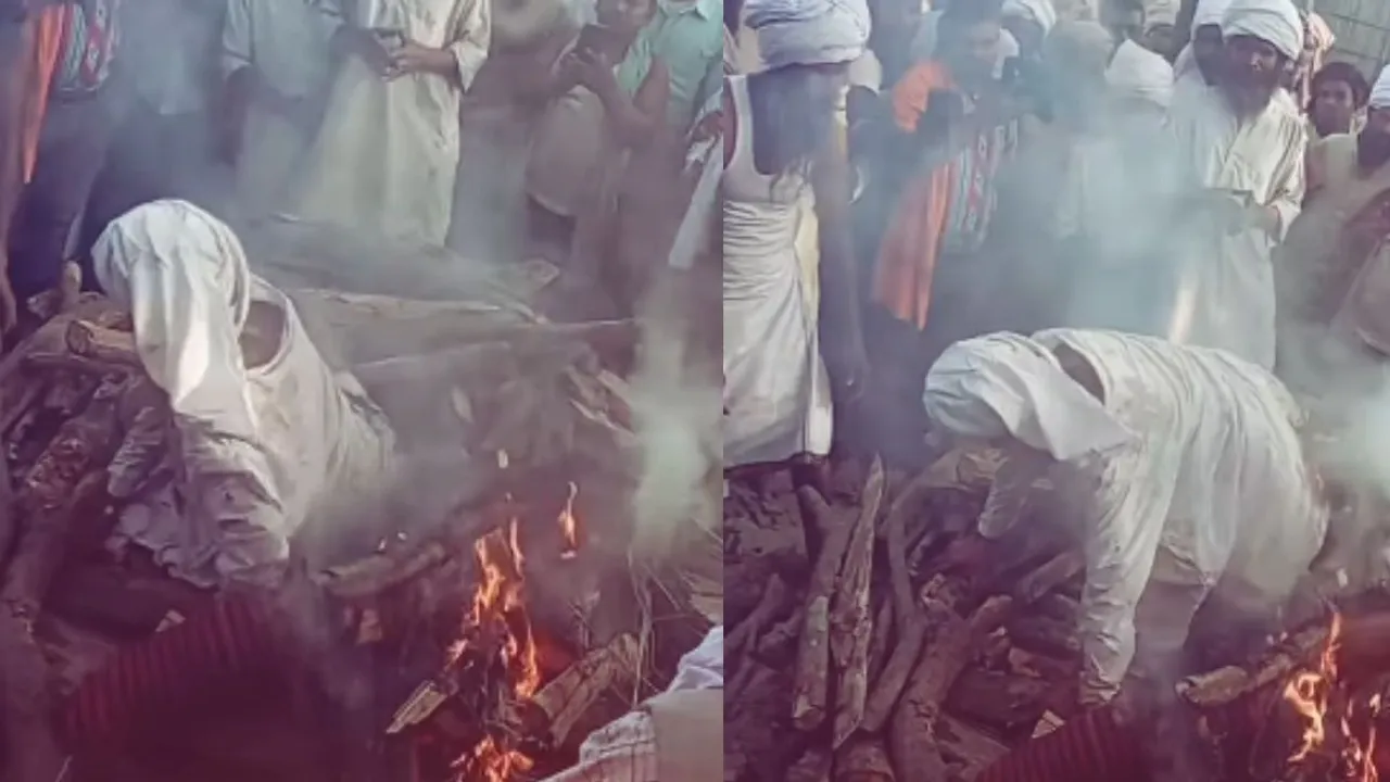 viral video news  (1)