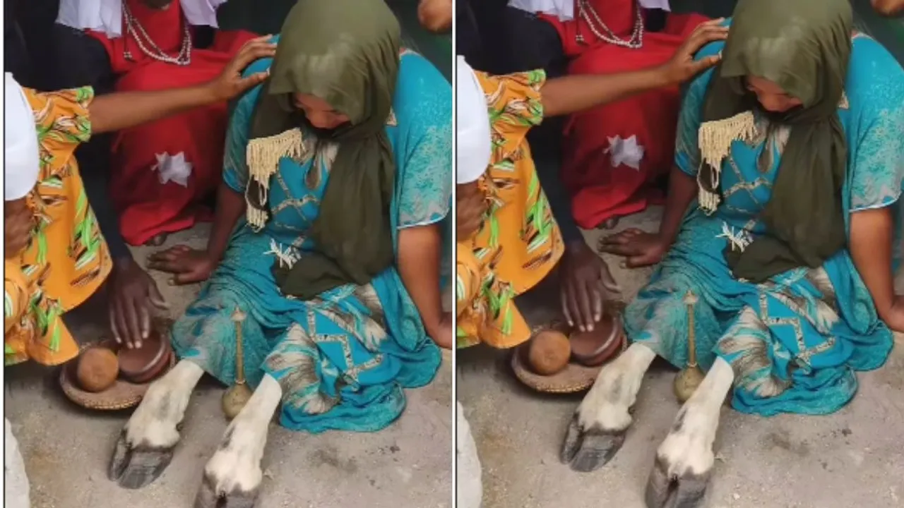 viral video (2)