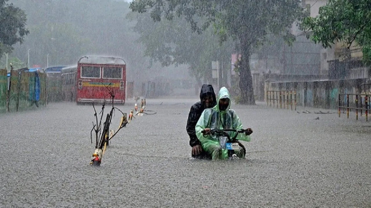 Rain Update 2 August