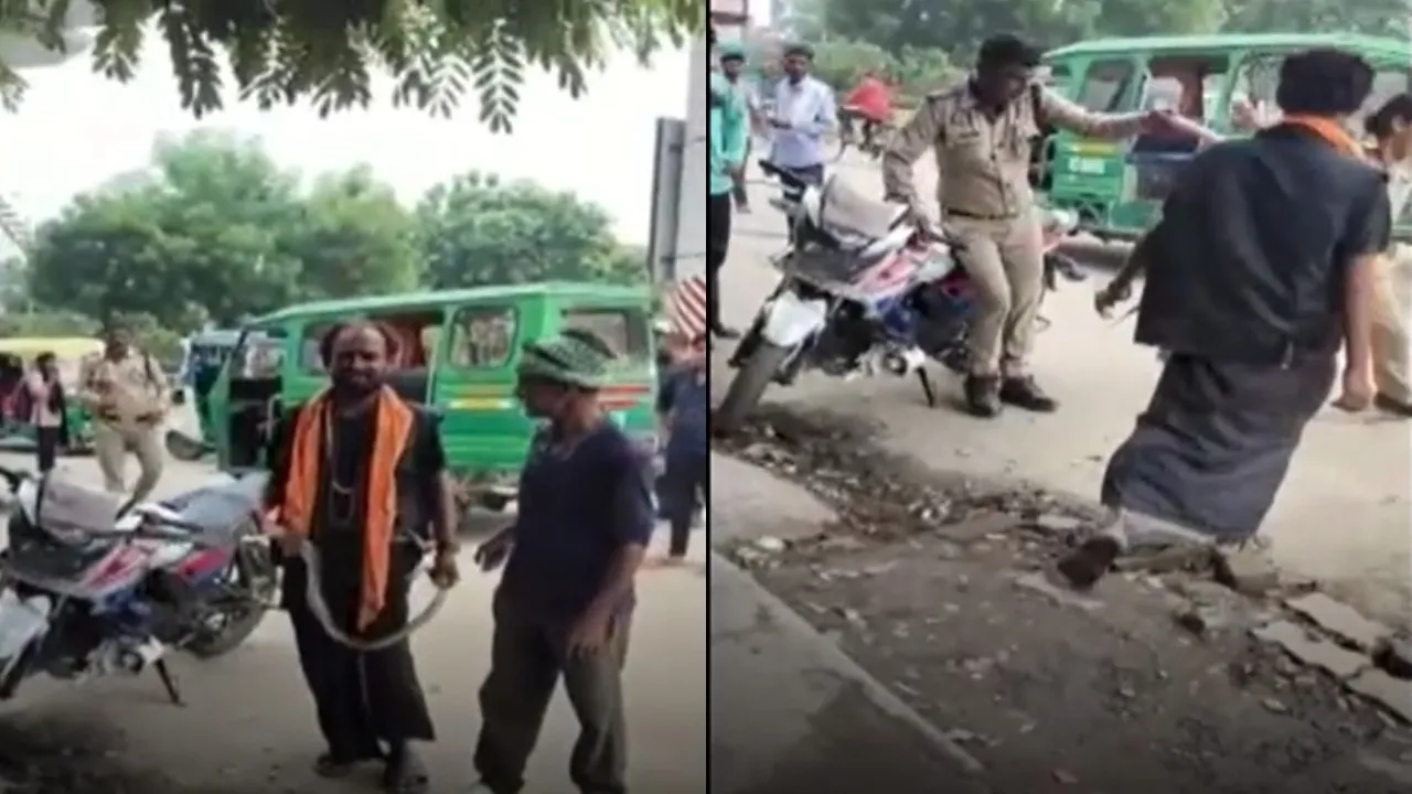 snake charmer threw snake