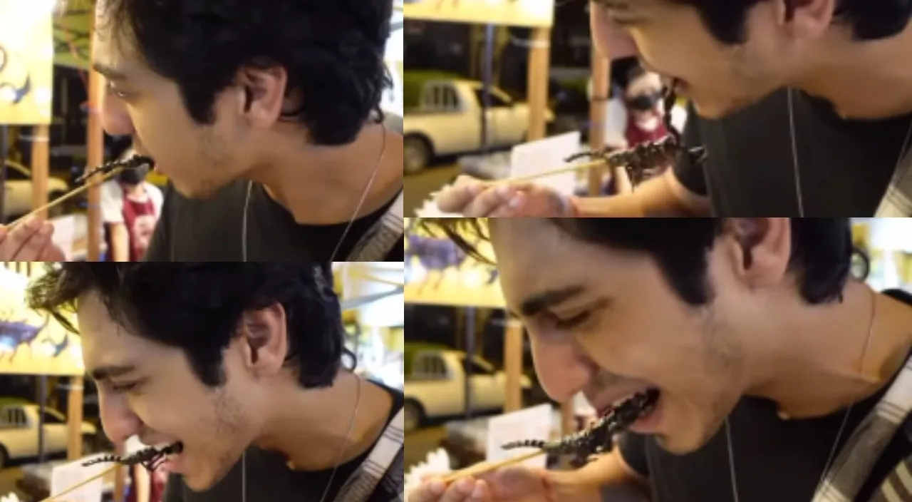 Ahaan Panday being pandit ate scorpion in public people angry on him after watching his video