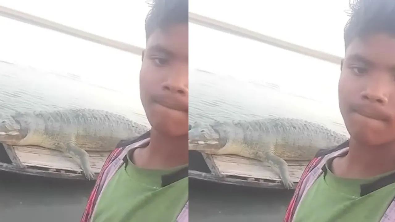 viral  reel crocodile video
