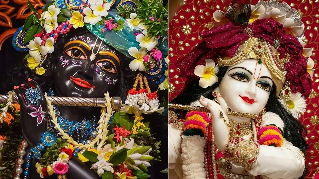 krishna