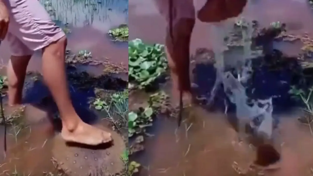 viral video (8)