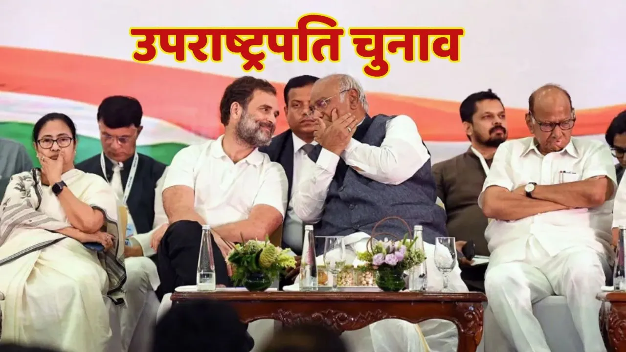 Vice President Election Indi alliance