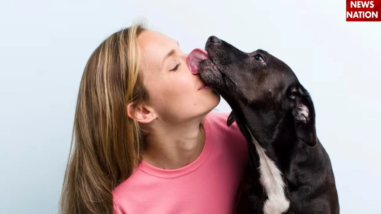 Dog lick