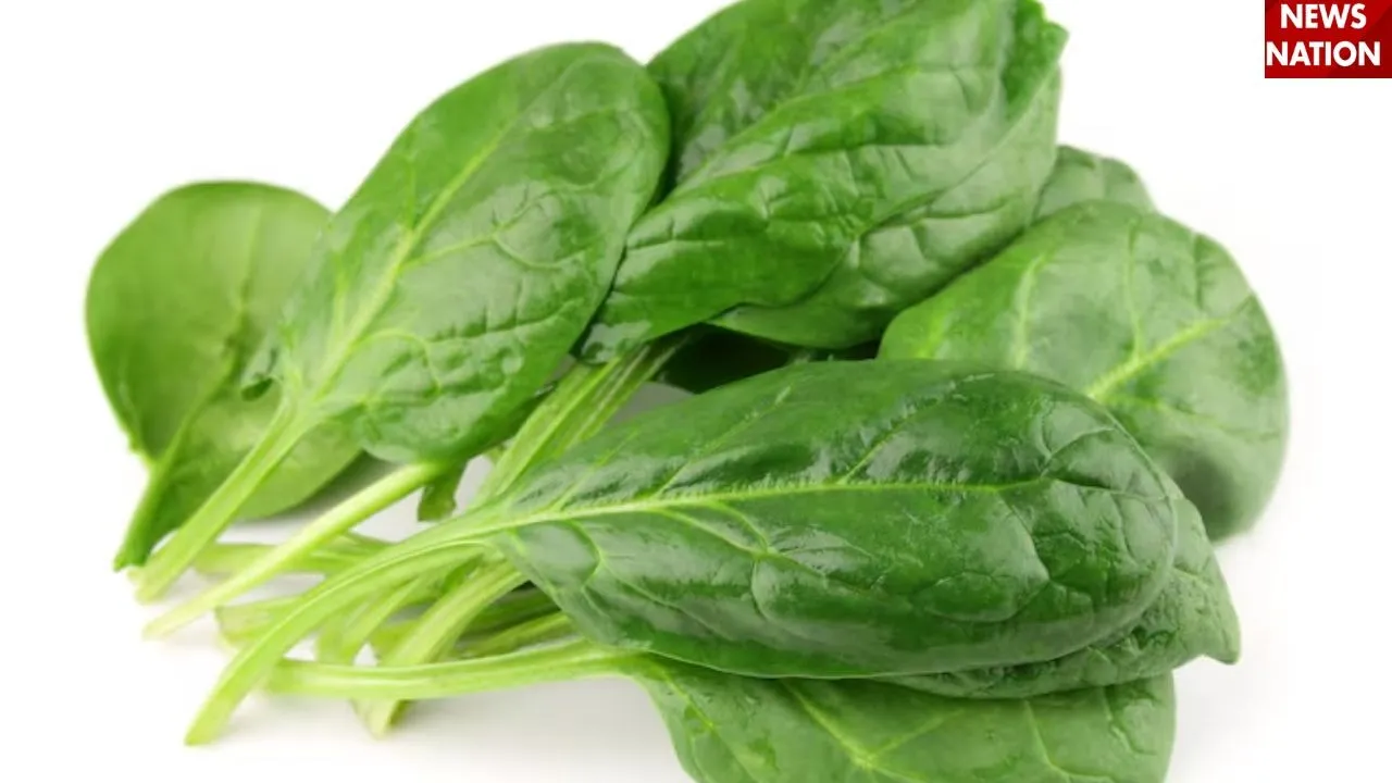 foods (4)