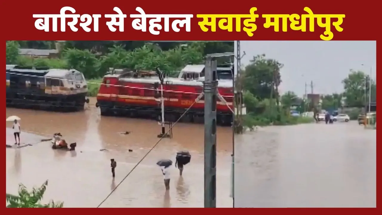 Rajasthan Sawai Madhopur Rain