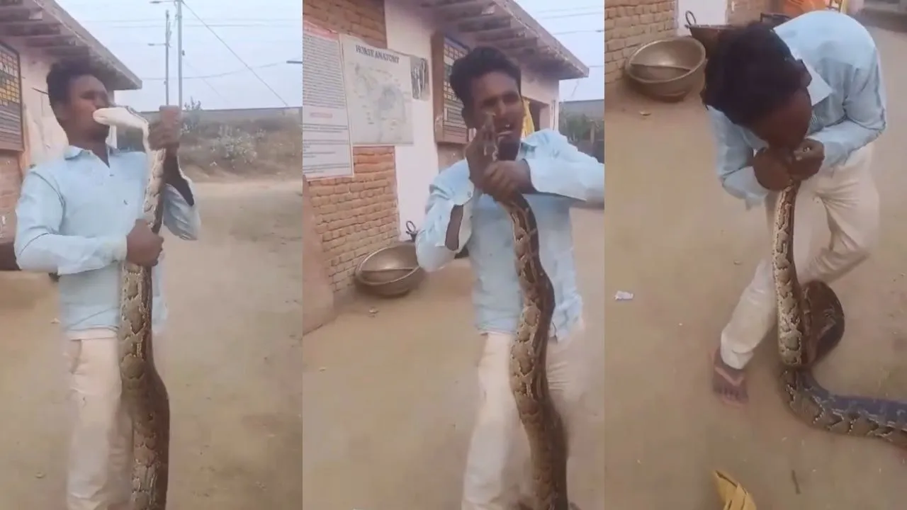 Python attack