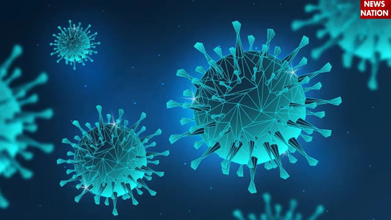 screwworm virus