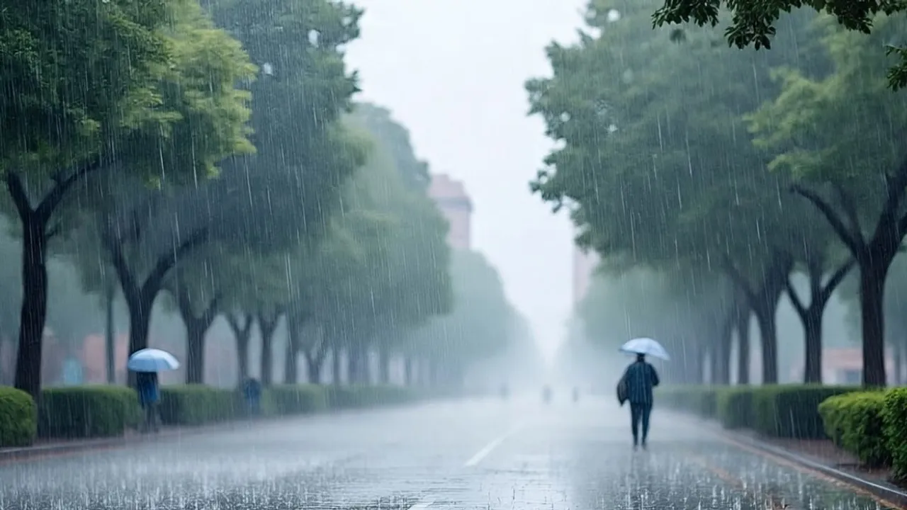 UP weather report