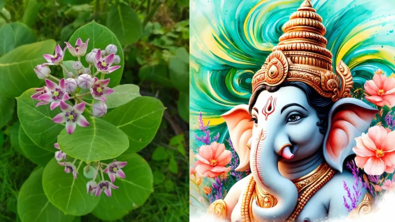 Ganesh Chaturthi