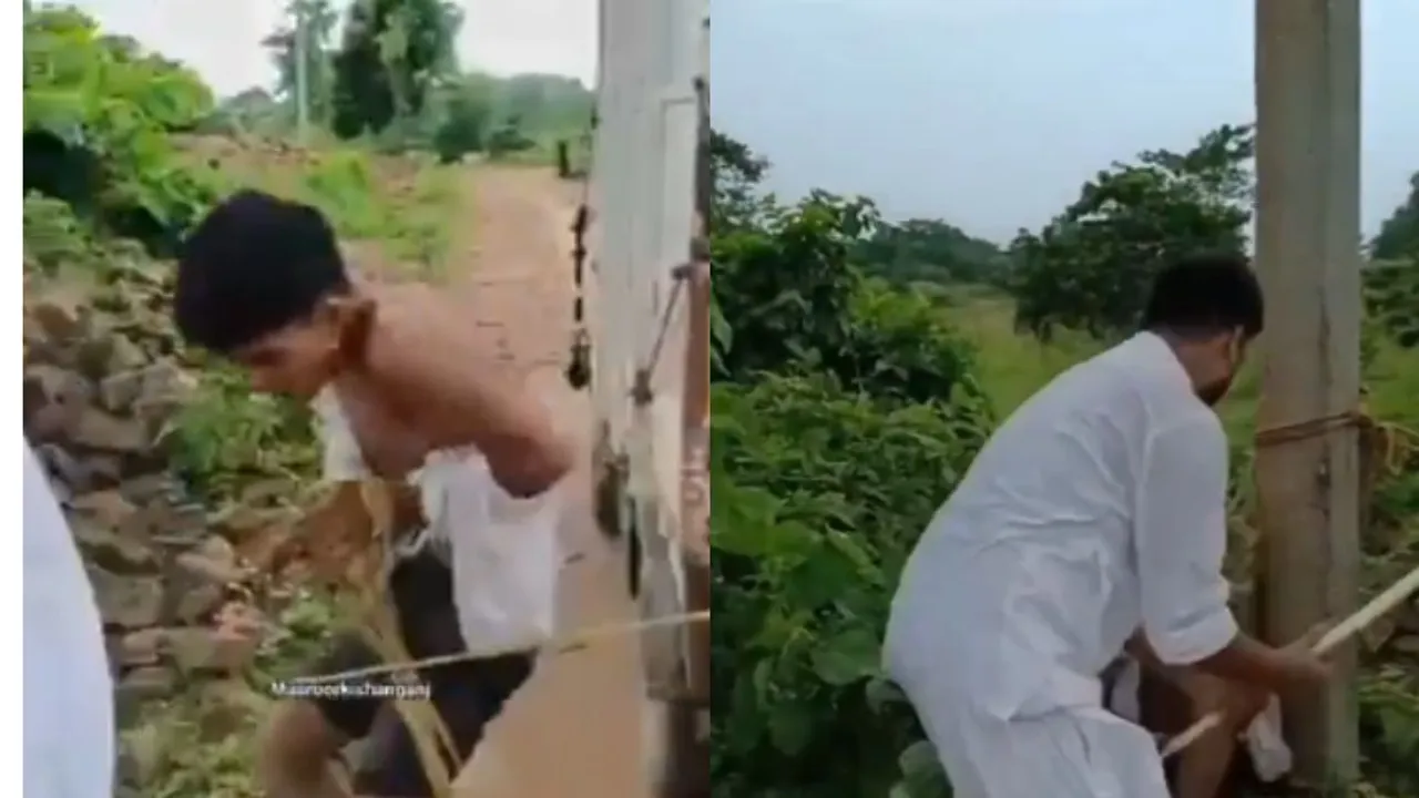 VIRAL VIDEO (10)